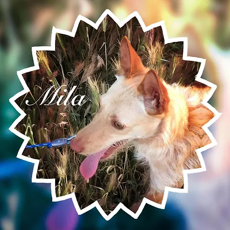 Biescas-pirineo-relax *