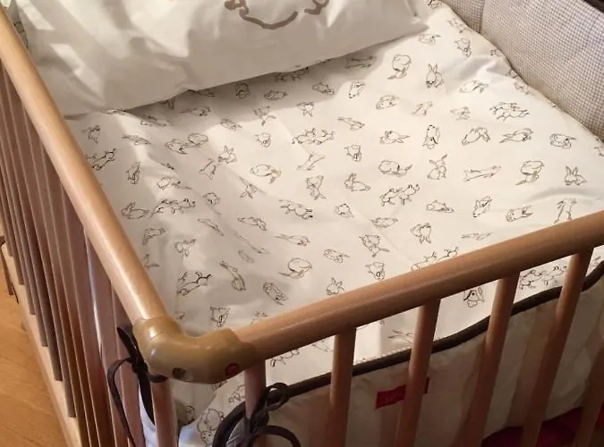 Biescas-pirineo-relax 公寓 *