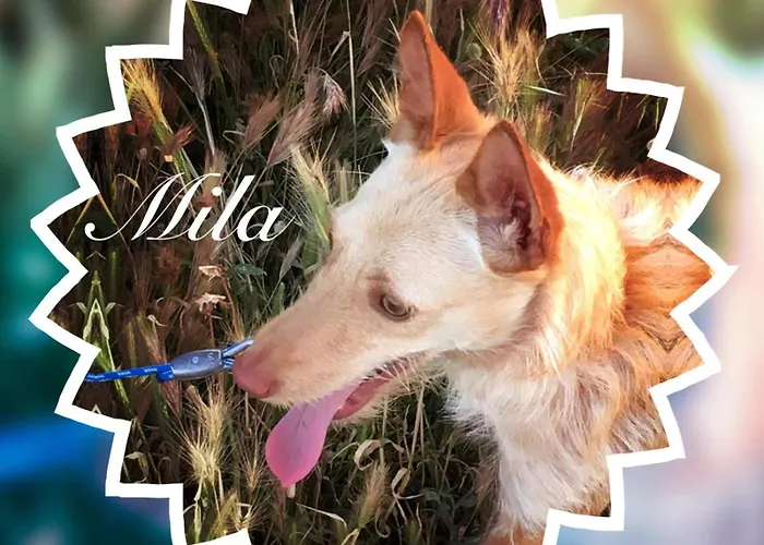 Biescas-pirineo-relax *